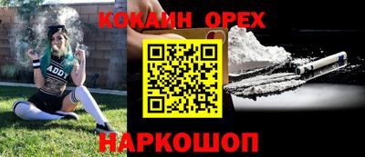 стафф Кандалакша