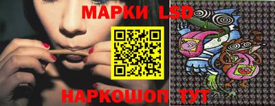 стафф Кандалакша