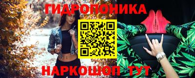 стафф Кандалакша