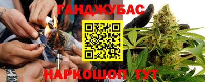 крисы Канаш