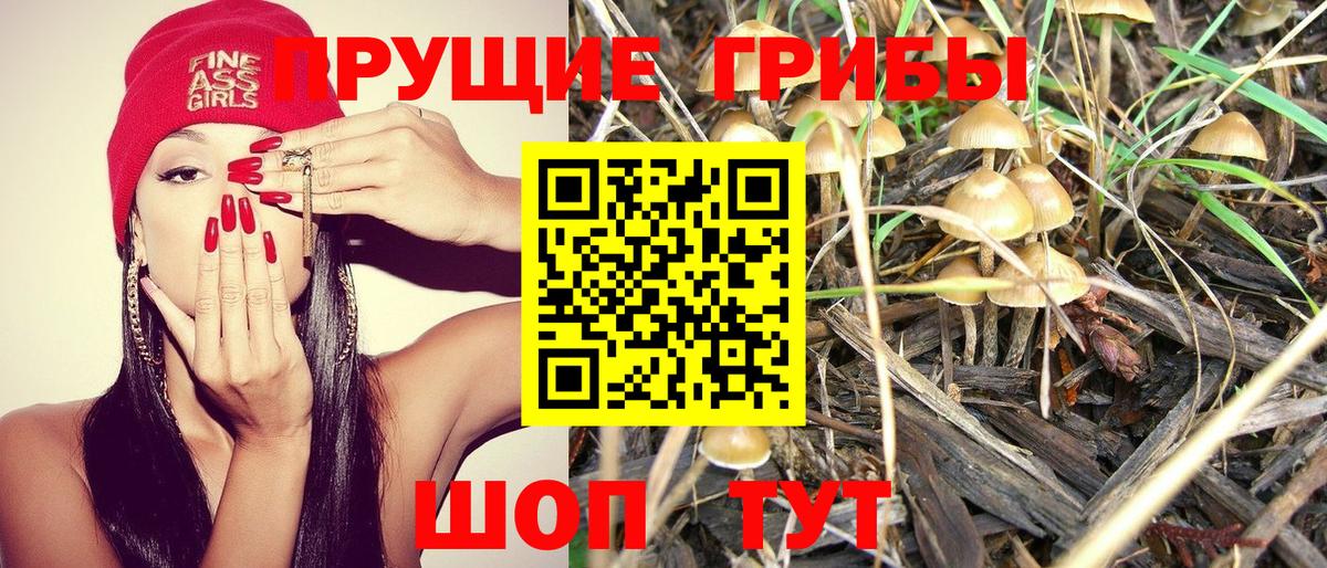 Галлюциногенные грибы Psilocybe  Вход с VPN  Псилоцибиновые грибы Psilocybe  Чапаевск 