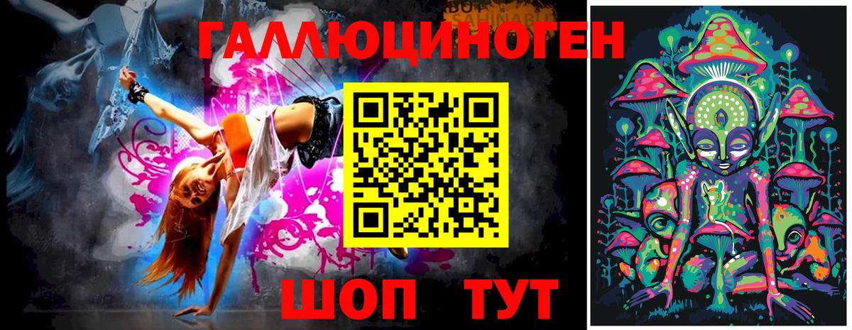 Псилоцибиновые грибы Psilocybine cubensis Чапаевск